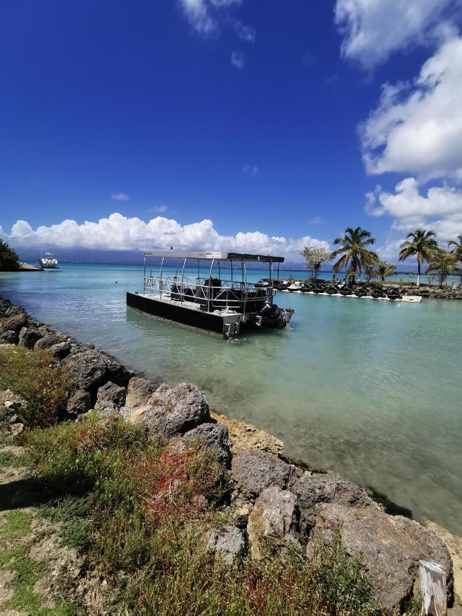 La Creole T3 Lumineux A 1Mn De La Plage Le Gosier  Exterior foto